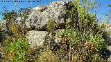 Fortín ibero romano del Peñón del Ajo. 