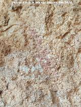 Pinturas rupestres Abrigo Este de las Pe�as de Castro III. Barra