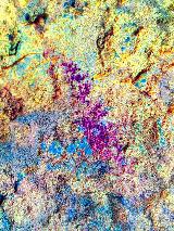 Pinturas rupestres Abrigo Este de las Pe�as de Castro III. Tratada con Dstretch