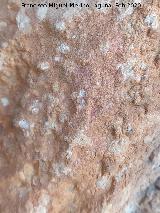 Pinturas rupestres Abrigo Este de las Pe�as de Castro III. Mancha