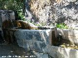 Fuente Castañeda. 