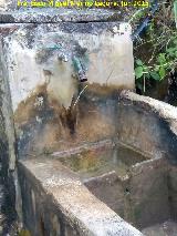 Fuente Castañeda. 