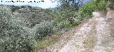 Camino de los Molinos. 
