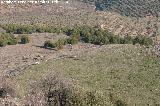 Poblado prehistórico de Peñaflor. Muralla