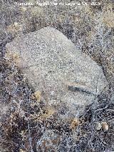 Cástulo. Necrópolis del Cerrillo de los Gordos. 