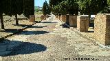 Itálica. Casa de la Exedra. Calzada que separa la Casa de Neptuno y la Casa de la Exedra