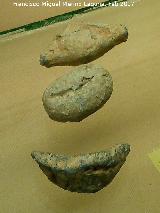 Glande. Museo Arqueológico Ciudad de Arjona