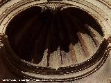 Catedral de Jaén. Fachada Sur. Vieira de la hornacina derecha