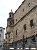 Catedral de Jaén. Fachada Sur. 