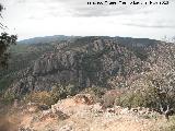 Cerro de los Órganos. 