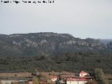 Cerro de los Órganos. 