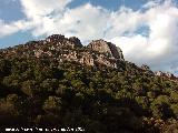 Cerro de los Órganos. 