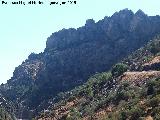 Cerro de los Órganos. 