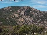 Cerro de los Órganos. 