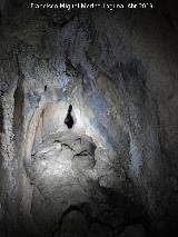 Santuario prehistórico de la Cueva de Golliat. 