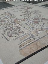 Cástulo. Villae de Casablanca. Museo Arqueológico de Linares