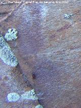 Pinturas rupestres de la Peña del Águila. Posible antropomorfo