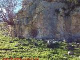 Barranco de la Cañada. Justo donde empieza