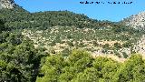 Matagallar. Desde la Carretera a la Cañaza de las Hazadillas