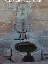 Fuente de la Yedra. Caño