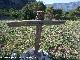 Cruz de los Madroñales