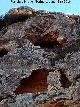 Cuevas del Niño Lope