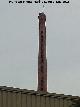 Chimenea de la Papelera de Jaén