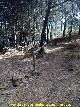 Sendero Río Campana