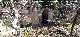 Cueva de la Zorra