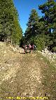 Camino de la Cueva de los Alcañetes