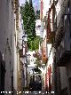 Calle Elvín