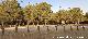 �rea recreativa La Zubia