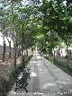 Alameda Inmaculada Concepción