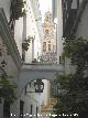 Calleja de las Flores